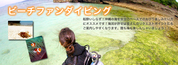 沖縄　ダイビング　ライセンス 「ビーチファンダイブ」
